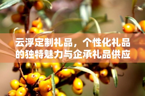 云浮定制礼品，个性化礼品的独特魅力与企承礼品供应链的专业优势